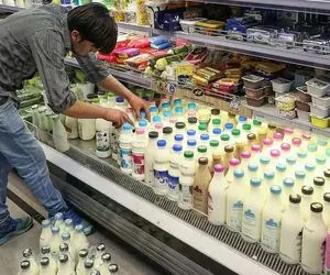 کمپین «نخریدن لبنیات» کار دست تولیدکنندگان داد
