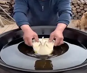 آشپزی حرفه ای؛ کیک طاووس پخت تو جلز ولز روغن بال هاشو باز کرد