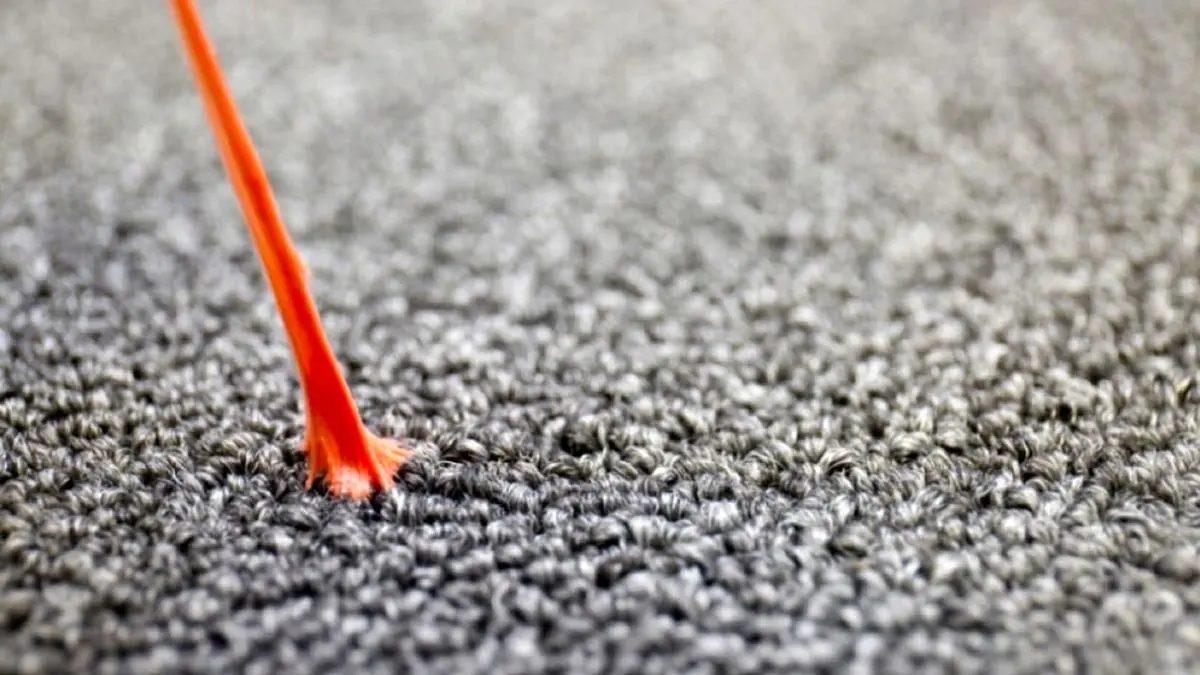 Removing-gum-stains-from-the-carpet