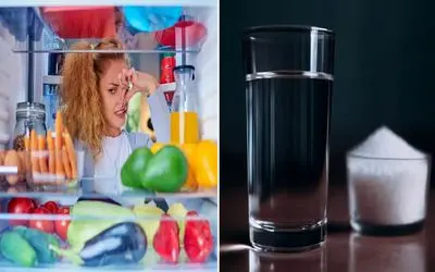 چند روش طبیعی برای خوشبو کردن یخچال/ با این مواد یخچالو باز کنی بوی بهشت میزنه تو صورت