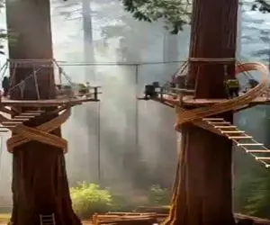 معماری خلاقانه؛ همه چی از دو تا پله رو درخت شروع شد بعد رسیدن به ساخت قصر درختی محشره