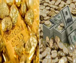 قیمت طلا، سکه و دلار امروز شنبه 7 شهریور 1405 / دلار 203 هزار تومانی شد