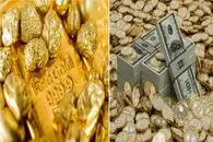 قیمت طلا، سکه و دلار امروز شنبه 7 شهریور 1405 / دلار 203 هزار تومانی شد