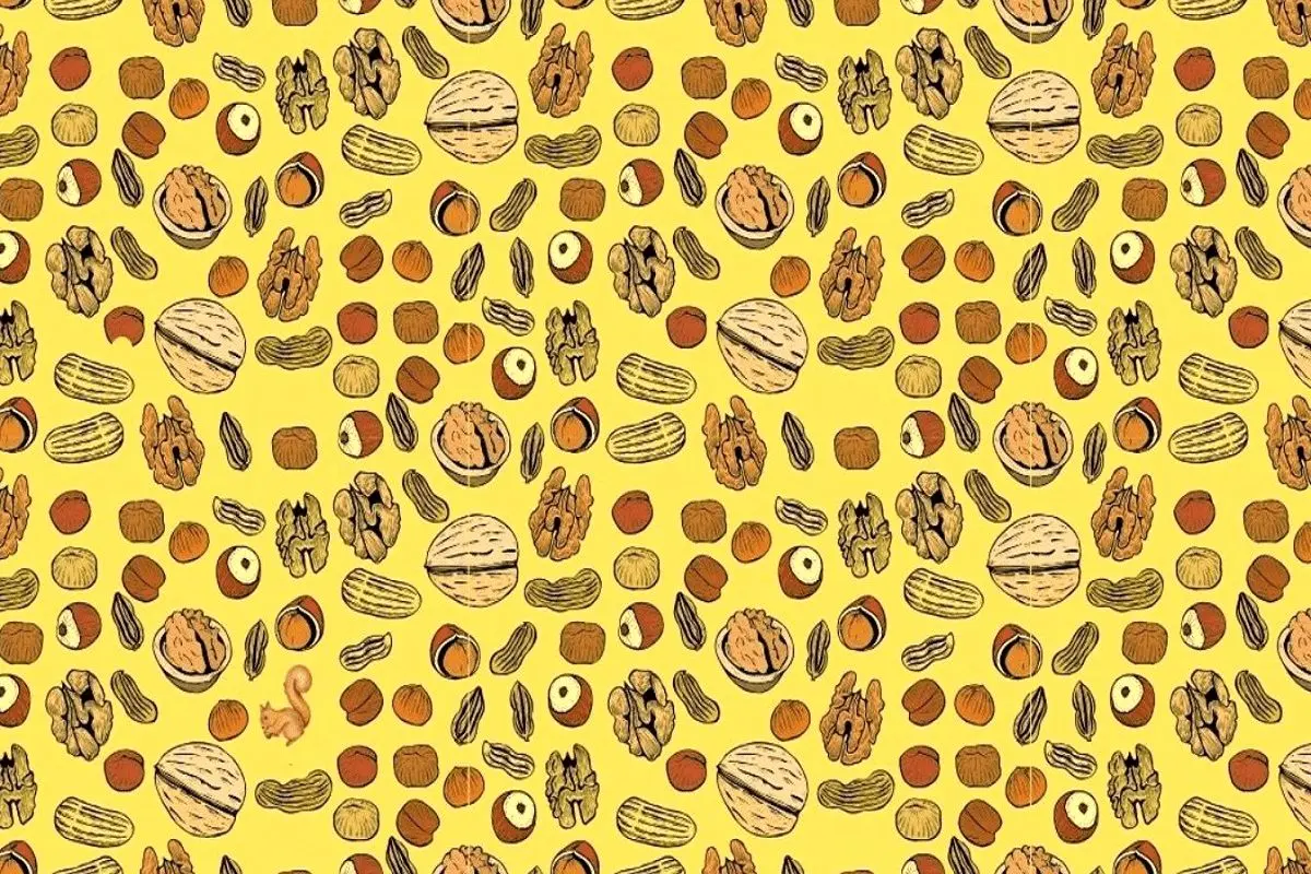 تست-بینایی-سنجاب-پنهان-شده-بین-آجیل_ها