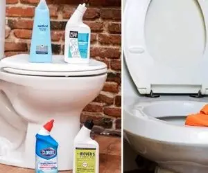 نظافت توالت فرنگی / با این ترفندا تمیزی فضا اونقدریه که زرق و برق میفته همه چی