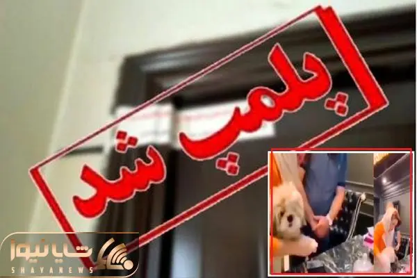 انتقال خانه به یک سگ