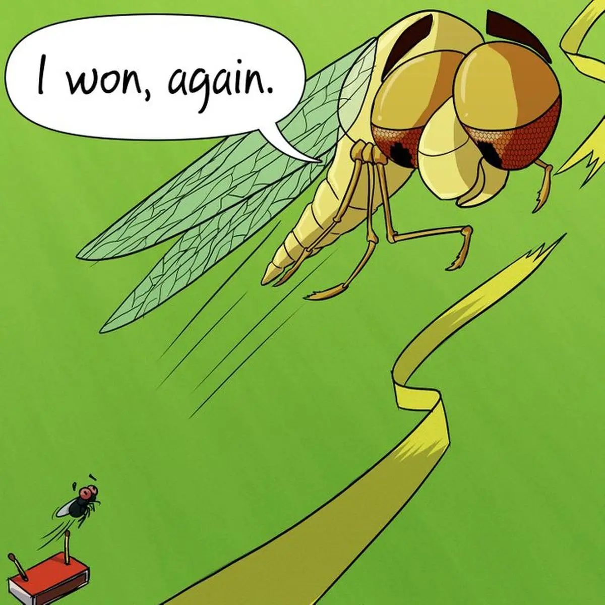 حقایقی از مگس ها