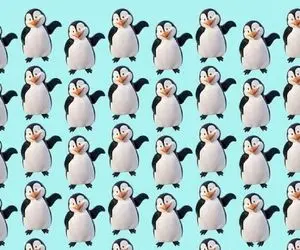 بازی فکری؛ بند بند وجودت از هوش پنگوئن متفاوت رو از بین 10000 پیدا کن