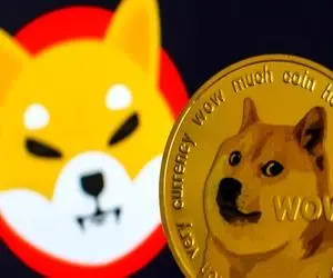 آیا شیبا اینو در نهایت می تواند از دوج کوین پیشی بگیرد؟