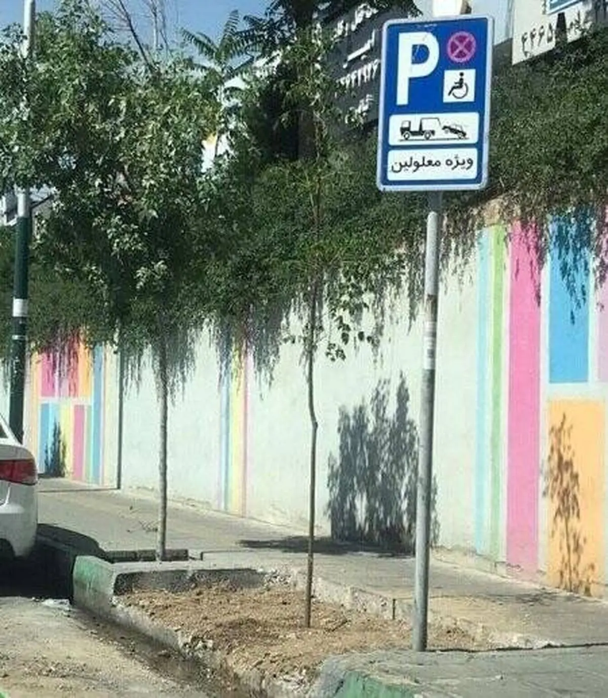 کاشت درخت بابک خرمدین