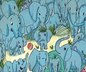 بازی فکری؛ باید شیش دنگ باهوش باشی تا کرگدن رو بین بچه فیل‌ها پیدا کنی؟