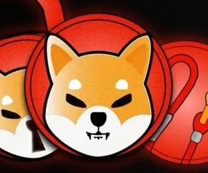 راز عجیب شیبا اینو چیست؟