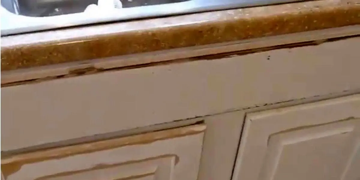 روش-های-جلوگیری-از-خرابی-کابینت-بر-اثر-آب-خوردگی