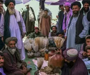 قیمت مواد مخدر سر به فلک گذاشت!