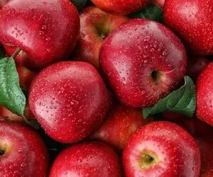 هم خوشمزه هم فوق‌العاده سالم؛ هفت مزیت سلامتی سیب، محبوب ترین میوه جهان!