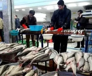 قیمت انواع ماهی امروز شنبه 10 مهر