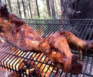 آشپزی خلاقانه؛ پوست خرگوش گوشتالو رو زنده مثل پوست موز میکنه کبابیش میکنه