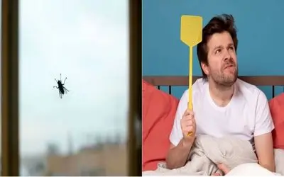 راهکارهای خونگی برای نابودی پشه‌و مگس ها/ روشایی که دیگه صدای وزوز پشه رو نمی‌ شنوی