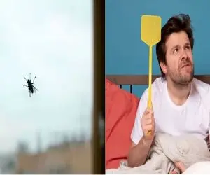 راهکارهای خونگی برای نابودی پشه‌و مگس ها/ روشایی که دیگه صدای وزوز پشه رو نمی‌ شنوی