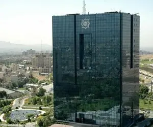 ممنوعیت پرداخت تسهیلات برای وکالتی کردن