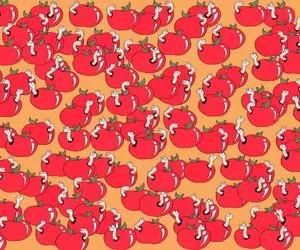 هوش تصویری؛ همه جا گفتی خیلی دانشمندی پس حالا زیر 15 ثانیه سیب سالم رو تو عکس پیدا کن!