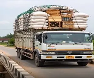 معماری طبیعت؛ بار خاور کار دستش داد