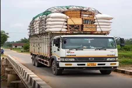 معماری طبیعت؛ بار خاور کار دستش داد