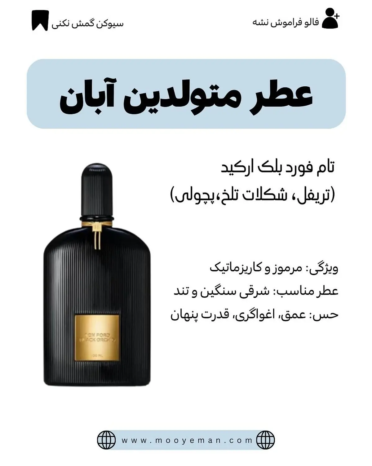 520322688_18074666906496120_224222763503078868_n