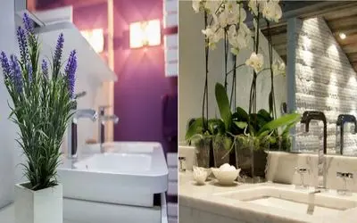 دیگر بوی بد آزارتان نمی‌ دهد/ رازهای خوشبو کردن همیشگی سرویس بهداشتی