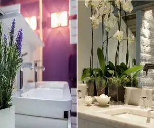 دیگر بوی بد آزارتان نمی‌ دهد/ رازهای خوشبو کردن همیشگی سرویس بهداشتی