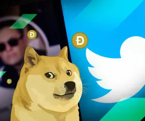 ایلان ماسک فرشته نجات دوج کوین اونم با توییتر؟