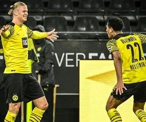 زنگ خطر برای قرمز ها؛ صدای زنبورها نزدیک شد!