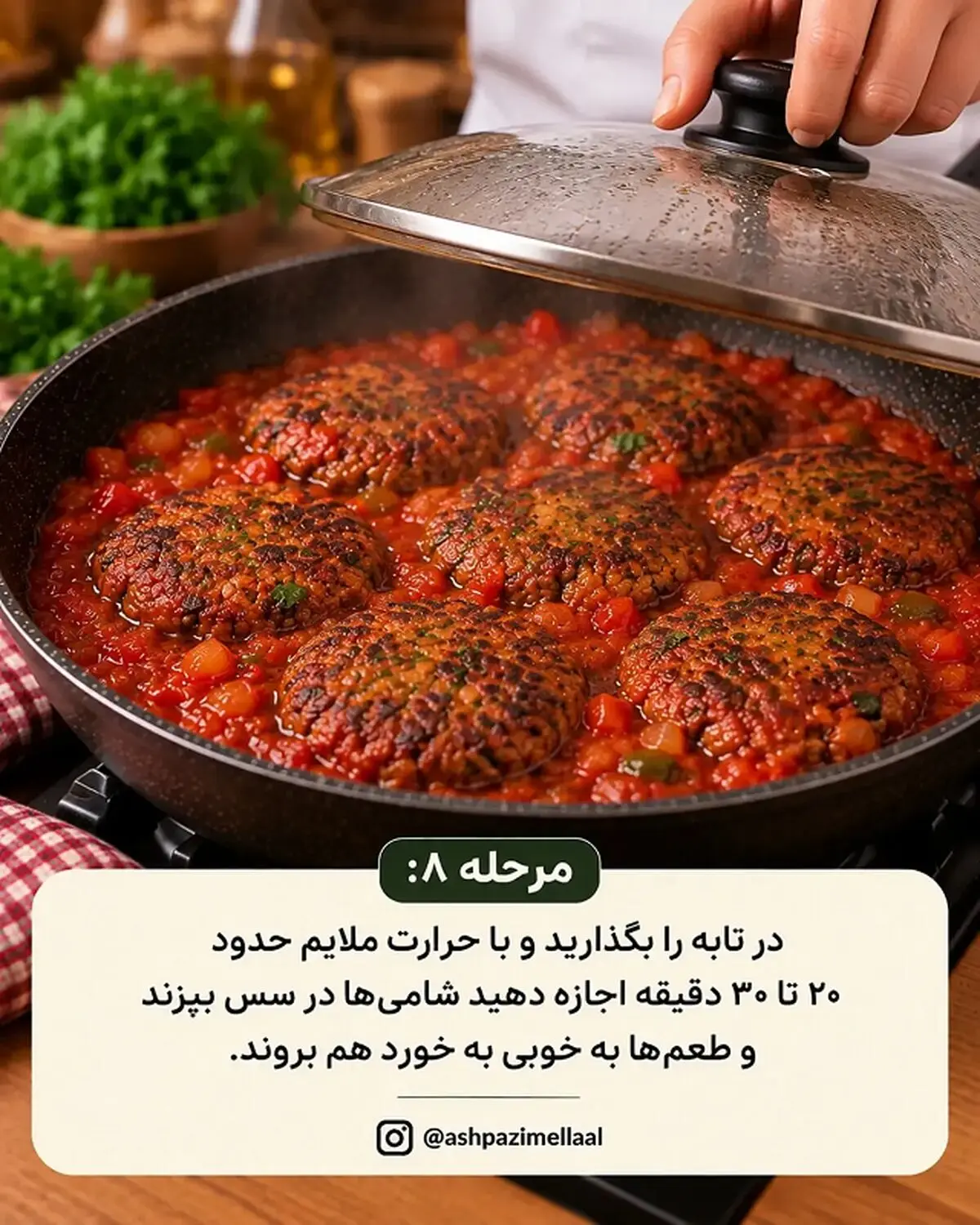 شامی ترش 8