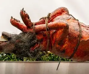 کباب سگ؛ دستو پای سگ نازنازیو بست میل داغ از دهنش رد کرد و با جعفری سروش کرد