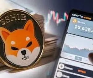 شیبااینو از دنیای رمز ارز خدافظی کرد؟