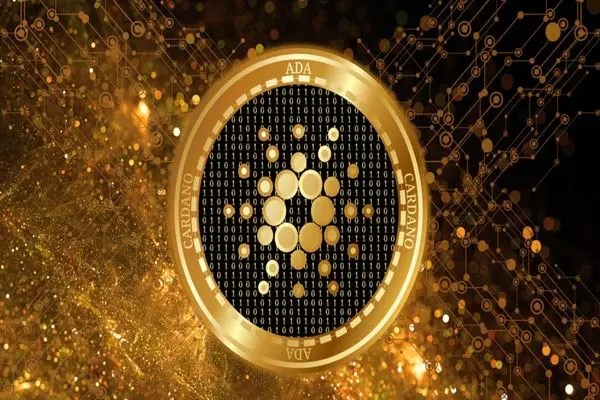 cardano