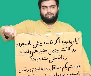 حمایت از رئیسی با بادمجان و به سبک این جوان!