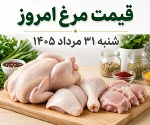 قیمت مرغ امروز شنبه 31 مرداد 1405 / هر کیلو مرغ را چقدر بخریم؟