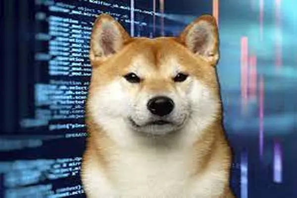 SHIBAINU