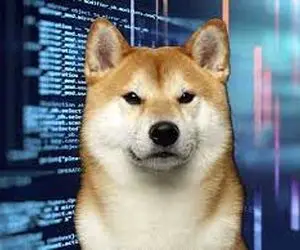 اتفاقی غیرمنتظره باعث نابودی شیباشد!!