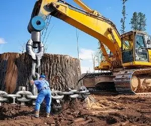 ابزارآلات غول پیکر؛ بیل مکانیکی غول مثل تبدیل شوندگان درختو کند بعد عین خیار خرد کرد