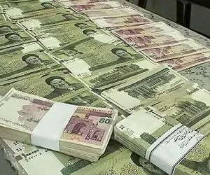 یارانه 800 هزار تومانی به چه کسانی پرداخت می‌شود ؟ + جزئیات