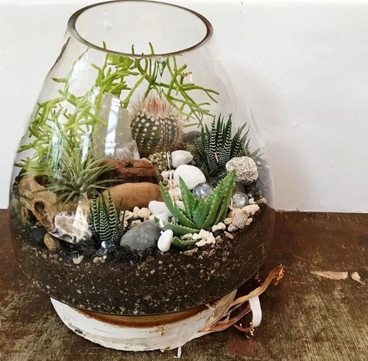 cactus-terrarium-model-13