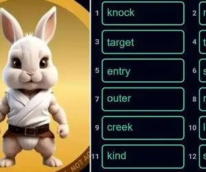 کارت های راکی رابیت (rocky rabbit) امروز یک شنبه 25 شهریور + آموزش وارد کردن