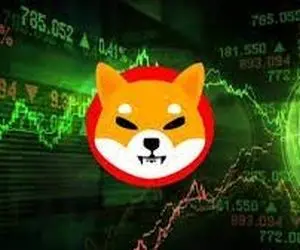 امیدی به شیبااینو هست یا خیر؟