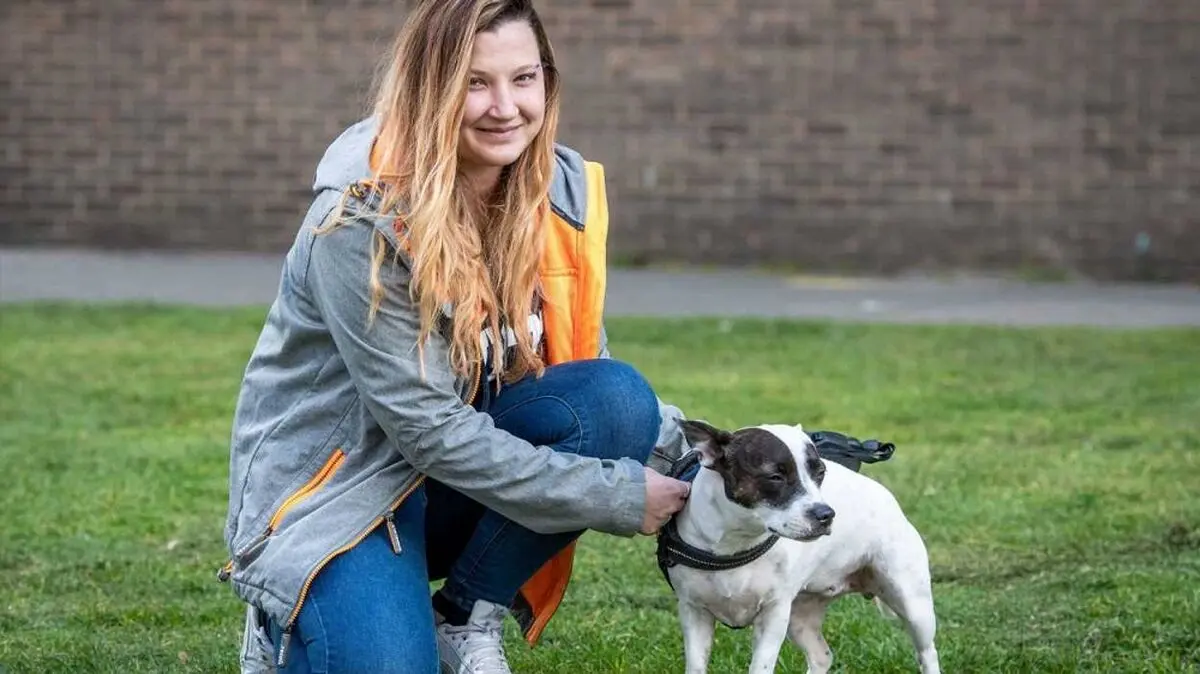 Hero-dog-rescues-owner-from-knife-wielding-mugger-x27My-little-lifesaverx27