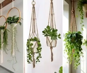 بهترین گیاهان آپارتمانی آویز مناسب دیوار واسه خونه های فسقلی لوکس؛ مدل های گلدان معلق