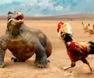 مستند حیات وحش؛ خروس برای فرار از چنگ کومودو سفاک محسن لرستانی پلی کرد