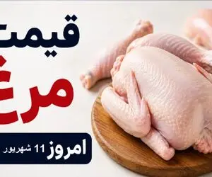 قیمت مرغ امروز چهارشنبه 11 شهریور 1405 | مرغ منجمد چند؟