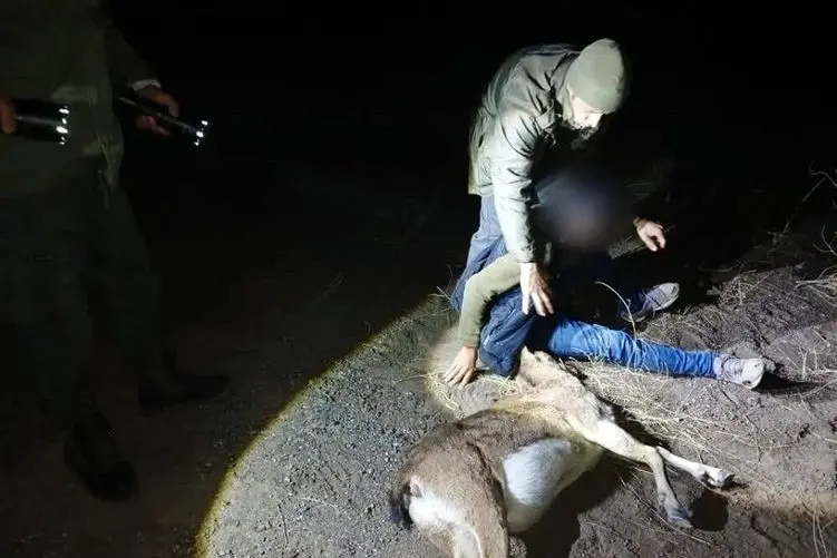 معماری طبیعت؛ بز کوهی بخت برگشته زیر برف مدفون شده بود که قهرمانان اتریشی نجاتش دادن